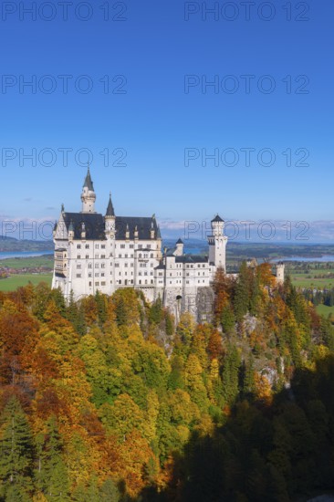 The impressive Neuschwanstein Castle rises above autumn trees against a clear sky, Schwangau,