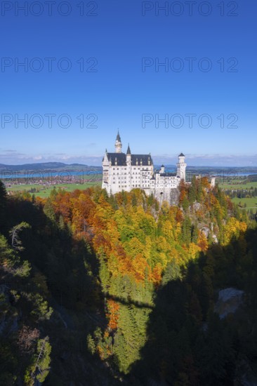 The fairytale Neuschwanstein Castle towers over autumn-colored trees against a clear blue sky,