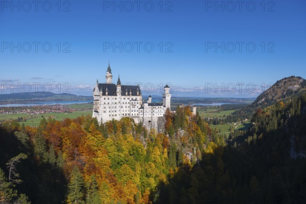 The magnificent Neuschwanstein Castle is enthroned over colorful forests with a bright blue sky,