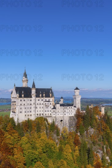 Neuschwanstein Castle stands majestically with autumnal forest in the foreground under clear skies,