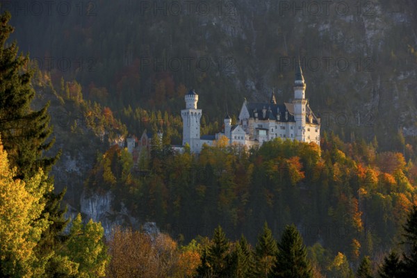 The fairytale castle Neuschwanstein surrounded by colorful autumn forests, in the warm light of