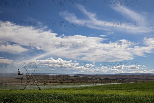 Alcova, Wyoming - Sprinklers water a crop growing in the Wyoming desert. Water in this otherwise