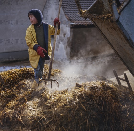 Little boy, eight years old, standing with a pitchfork on a steaming manure heap, Eckenhaid, Middle