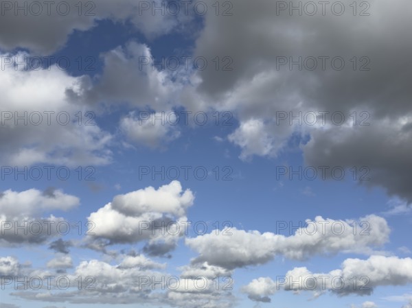 White clouds driven by approaching storm Cumulus above Stratocumulus loose to thick cloudiness
