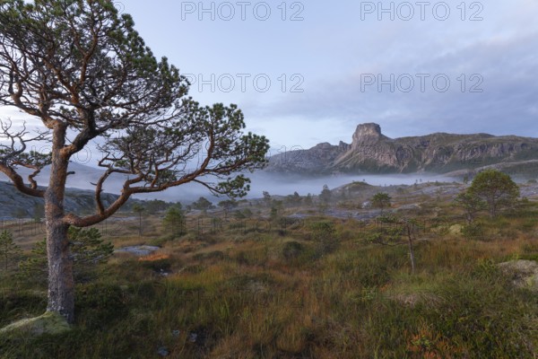 Magical morning fog on Steigtindvatnet in front of the majestic Steigtinden in Norway near Bodø.