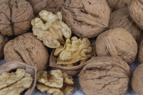 Fresh walnuts from Germany in shell and peeled