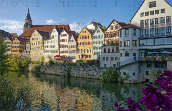 Historic houses on the Neckar front, the Neckar river, water reflection, old town of Tübingen,