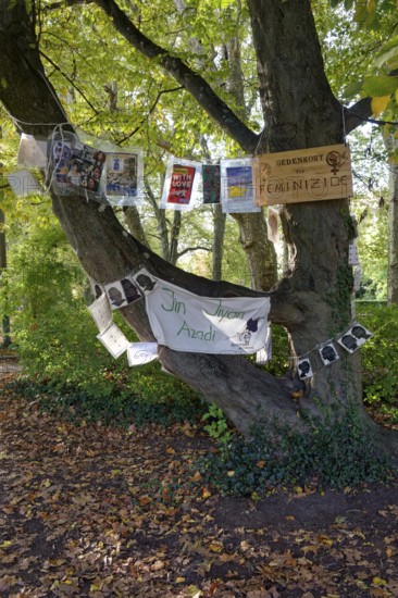 Installation on feminicides, reminder, violence against woman, memorial site, plane tree alley on