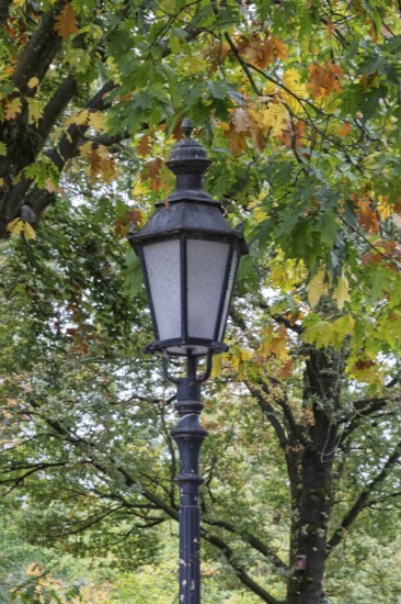 Historic lantern in front of trees with colorful autumn leaves in the park, Münsterland, North