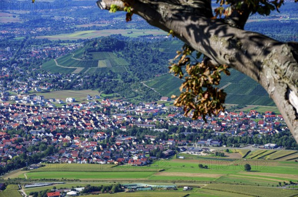 Picturesque scenery on the eaves of the Swabian Jura near Olgafels on Rossfeld in Metzingen-Glems,