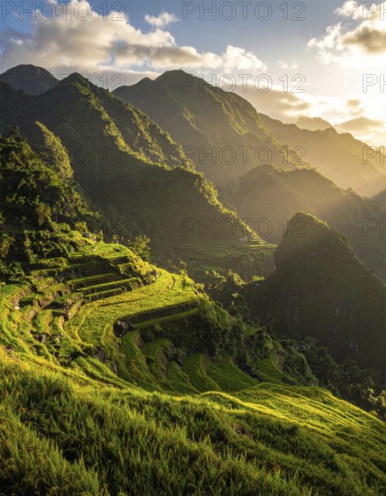 Early morning light bathes Philippines rice terraces cascading down mountain slopes, beautiful