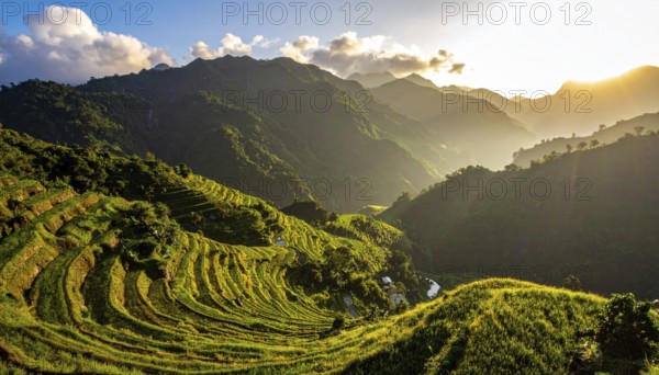 Early morning light bathes Philippines rice terraces cascading down mountain slopes, beautiful