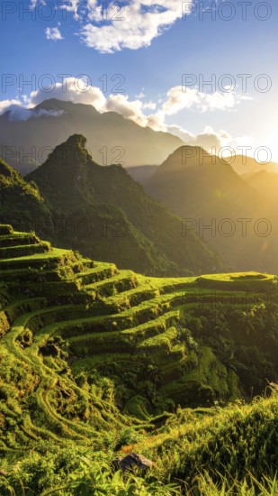 Early morning light bathes Philippines rice terraces cascading down mountain slopes, beautiful