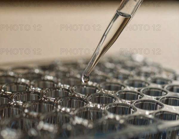 A single droplet hovers at a pipette tip above a microplate bathed in warm, soft light, Pipette