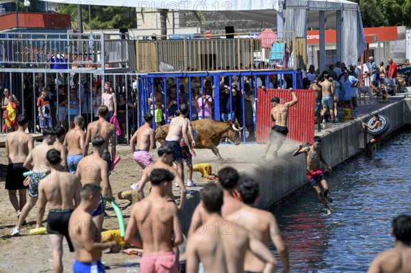 Bous a la Mar Fair, in English Bulls in the Sea, Bullfighting, Javea or Xàbia, Alicante Province,