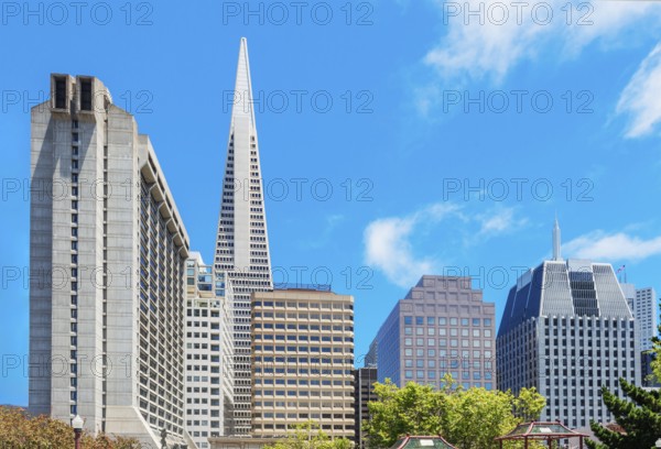 View of downtown financial district seen from Portsmouth square, San Francisco, California, USA