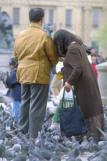 Man and woman surrounded by pigeons (Columba livia domestica), Trafalgar Square, London, England,