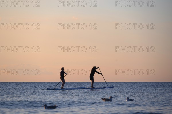 Two stand up paddlers on the Baltic Sea in the evening light, Ahrenshoop, Darß, Mecklenburg-Western