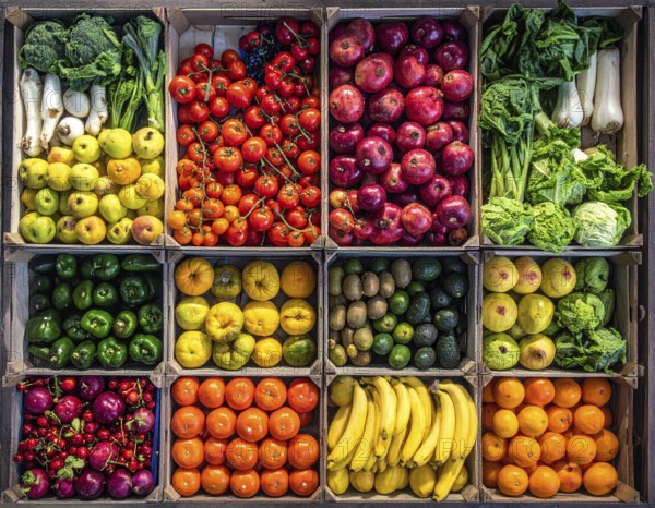 Fresh fruits and vegetables in a market display, aerial view perpendicular top down, healthy eating
