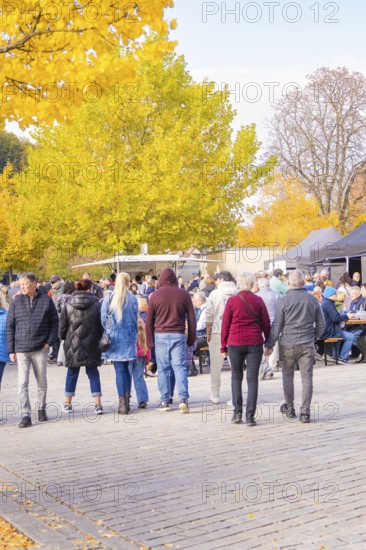 Group of people walking through an autumnal park with yellow deciduous trees, Urschelherbst street