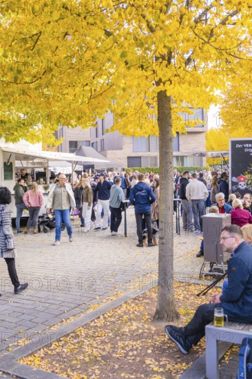 People gather at a street café at an autumn market under yellow trees, Urschelherbst street