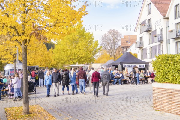 Busy street festival with lots of people, autumn trees and buildings in the background,