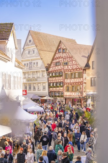 Lively market square in the old town with half-timbered houses in sunny weather, Urschelherbst