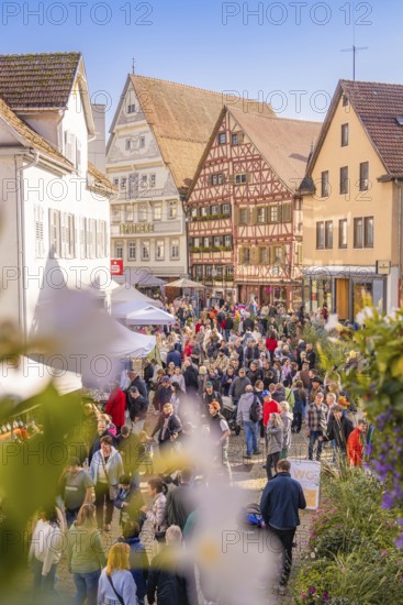 Large crowd at a market in the old town, surrounded by sunny half-timbered houses, Urschelherbst