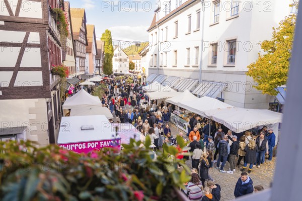 Lively market scene with tent stands and lots of people in a festive atmosphere, Urschelherbst