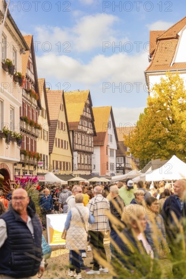 A large crowd enjoys a sunny market day in the old town, Urschelherbst street festival, Nagold,