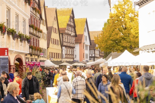 Market visitors stroll between historic buildings and stalls, Urschelherbst Street Festival,