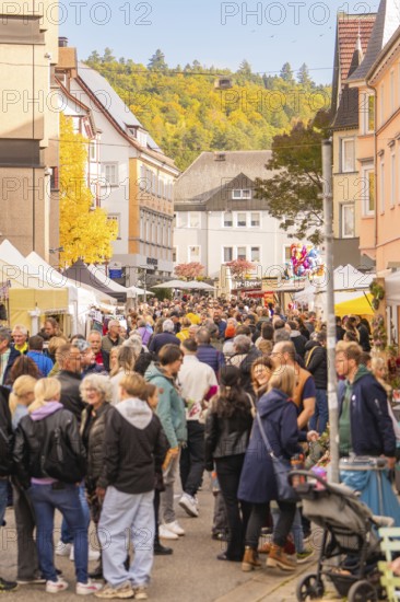 Crowded market street with lots of people and colorful autumn trees, Urschelherbst street festival,