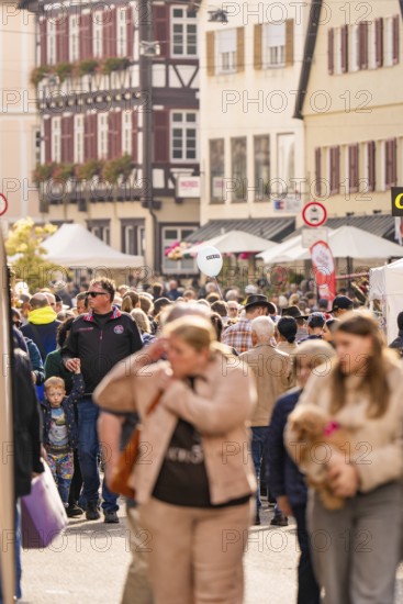 People stroll and shop at a busy market in the old town, Urschelherbst Street Festival, Nagold,