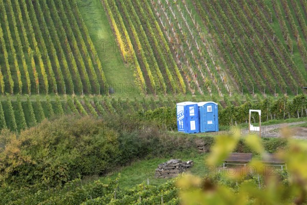 Dixi toilets, Toi-Toi toilets in the vineyard in the Ahr Valley, next to a break area, near