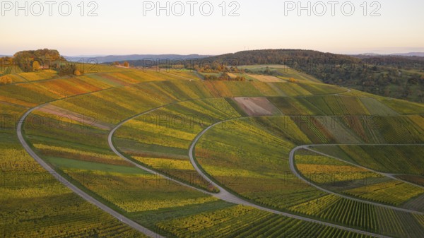 Golden autumn over the vineyards of Weinstadt Beutelsbach, Baden-Württemberg, Germany