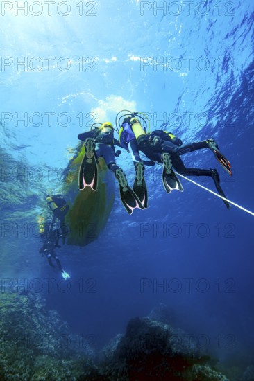 Underwater photo Group of scuba divers climb up to the sea surface at the end of dive on anchor