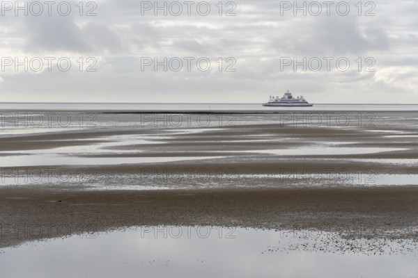 A ferry of the Wyker Dampfschiffs-Reederei (W.D.R.) sails at low tide in the Wadden Sea between