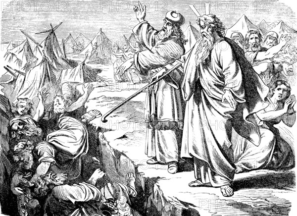 When Moses had finished speaking, the earth opened up and swallowed the pack of Korah, Levite