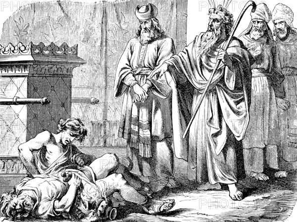 The Lord sent out fire and Nadab and Abihu died, sacrifice, death, dying, stranger, Moses, staff,