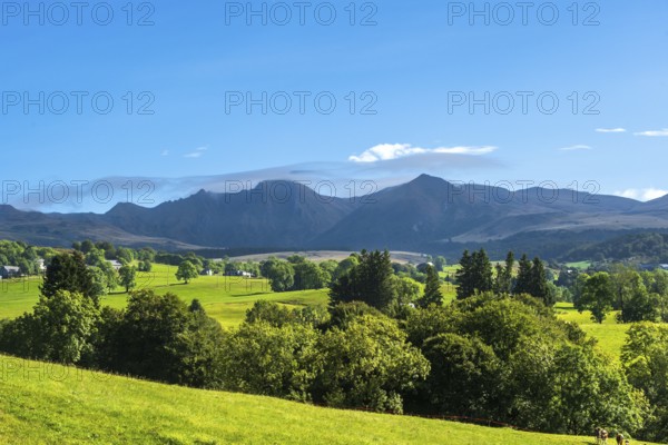 Expansive green fields and trees with mountains in the distance under a clear blue sky, Massif of