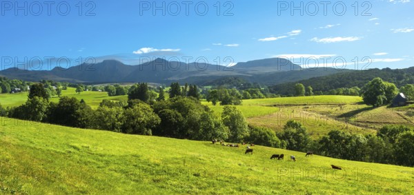 A scenic view of green fields with grazing animals, surrounded by mountains under a clear blue sky,