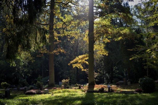 Gravesite, gravestone, graves, forest cemetery, autumn, autumnal, Stuttgart, Baden-Württemberg,