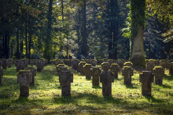 Remembrance of fallen soldiers in the First World War, war graves, graves, forest cemetery, autumn,