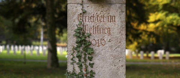 Commemoration of fallen soldiers in the First World War, war graves, graves, forest cemetery, ivy,