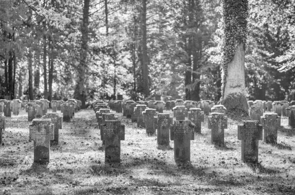 Remembrance of fallen soldiers in the First World War, war graves, graves, forest cemetery, black