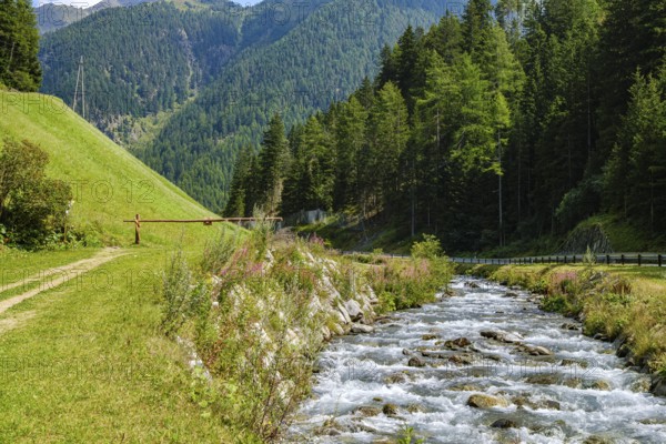 The Horlachbach stream, which plunges into the depths a little later as the Stuibenfall, here in