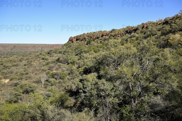 View of the Waterberg, Otjozondjupa region, Namibia