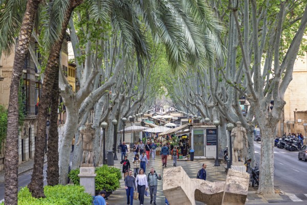 Tourists walking on La rambla a tree lined walking street with flower shops in Palma, Palma de