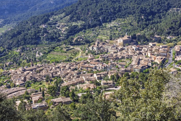 High angle view at a mountain village on a slope with lush green foliage a sunny summer day,
