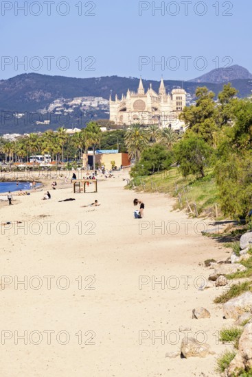People on a sand beach by the Mediterranean Sea and the famous landmark Palma cathedral a sunny